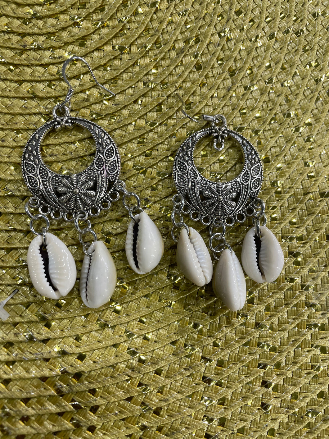 Silver Cowrie